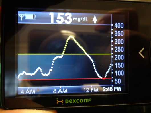 Dexcom graph showing my BG variability during the test.